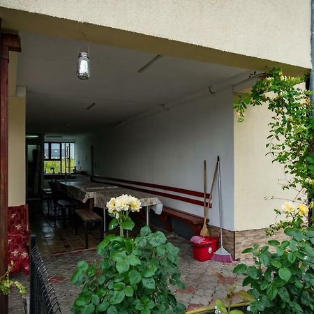 Pensiunea Elena Tasnad Esterno foto