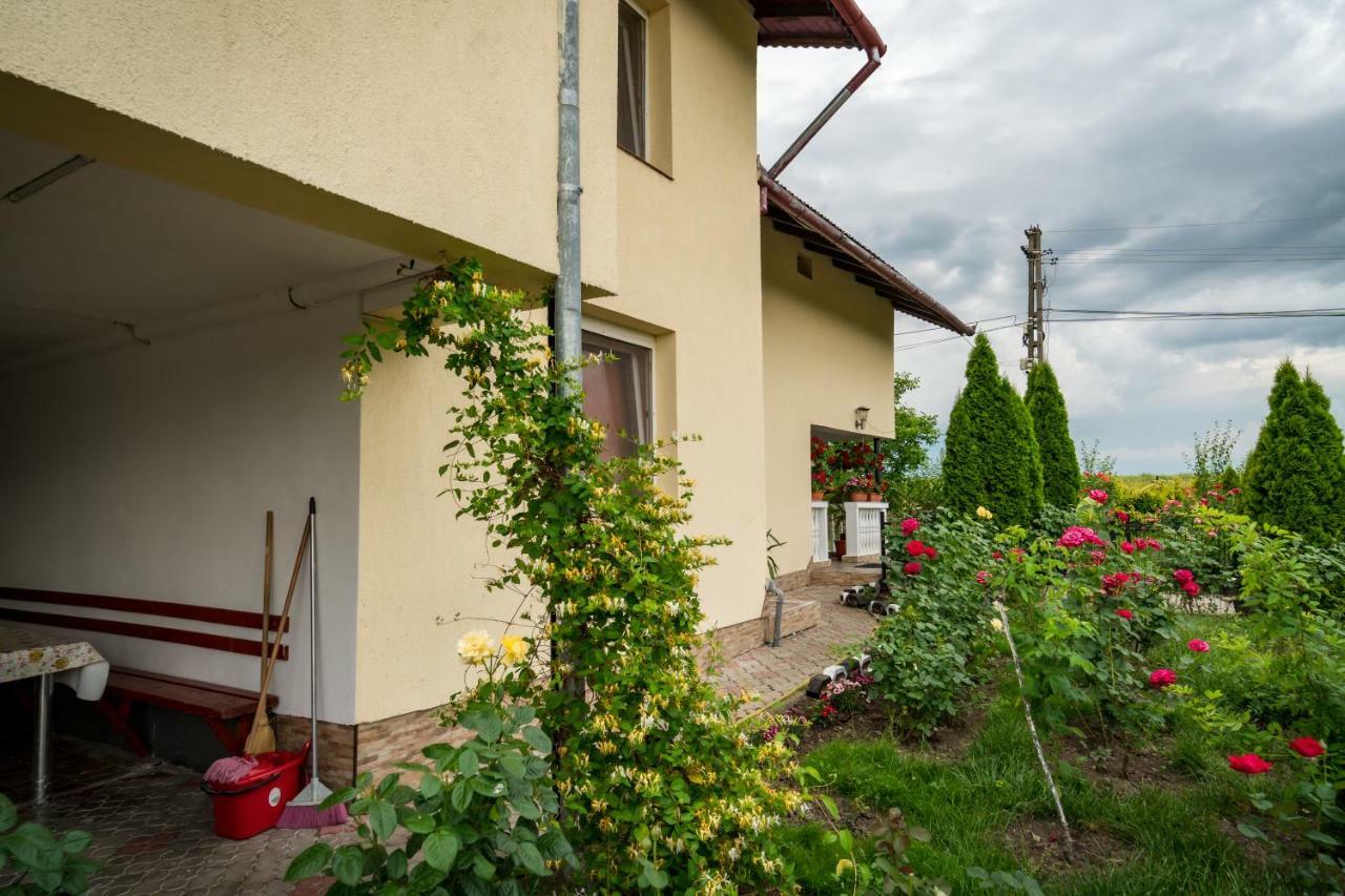 Pensiunea Elena Tasnad Esterno foto